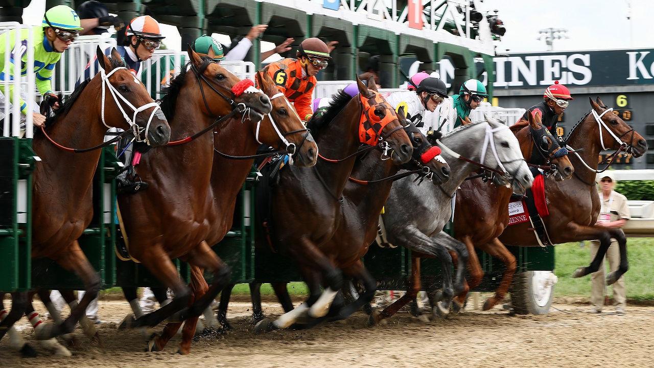 belmont park horse racing betting terms